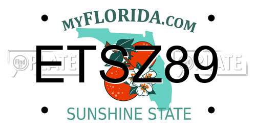 ETSZ89 Florida License Plate