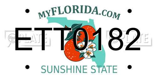 ETT0182 Florida License Plate