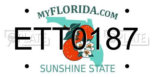 ETT0187 Florida License Plate
