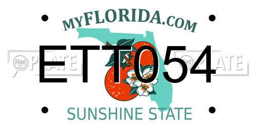 ETT054 Florida License Plate
