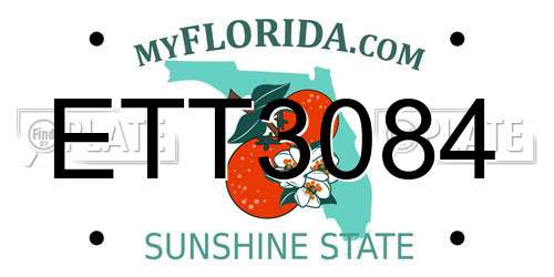 ETT3084 Florida License Plate