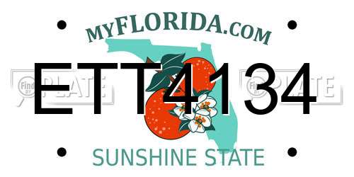ETT4134 Florida License Plate