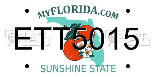 ETT5015 Florida License Plate