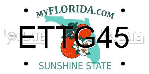 ETTG45 Florida License Plate