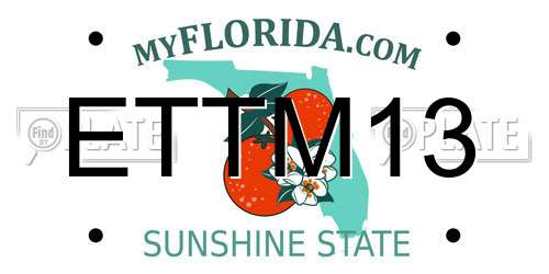 ETTM13 Florida License Plate