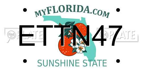ETTN47 Florida License Plate