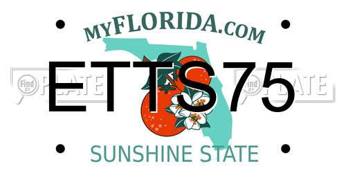 ETTS75 Florida License Plate