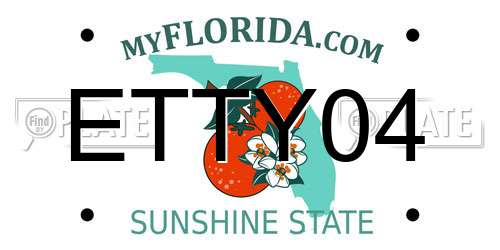 ETTY04 Florida License Plate
