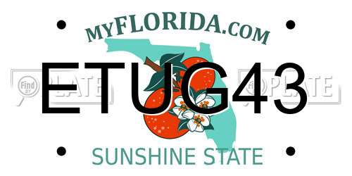ETUG43 Florida License Plate
