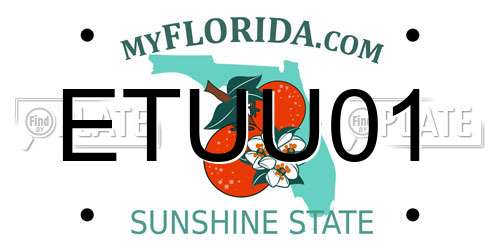 ETUU01 Florida License Plate