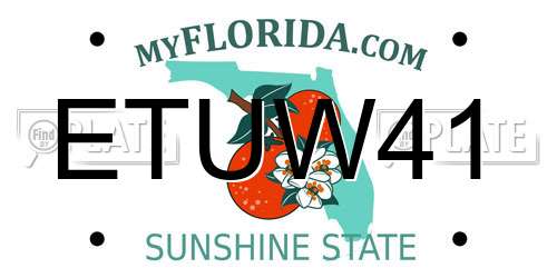 ETUW41 Florida License Plate
