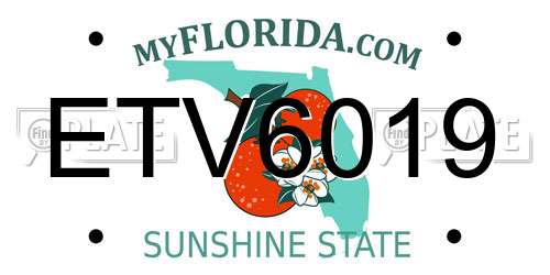 ETV6019 Florida License Plate
