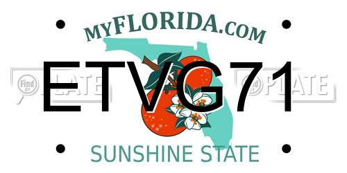 ETVG71 Florida License Plate
