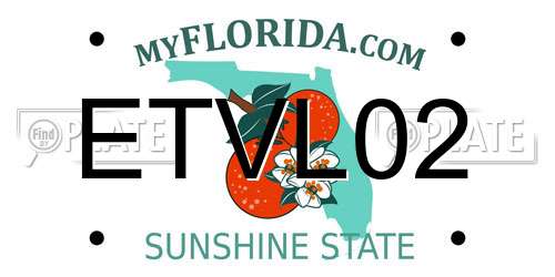 ETVL02 Florida License Plate