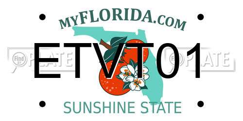 ETVT01 Florida License Plate