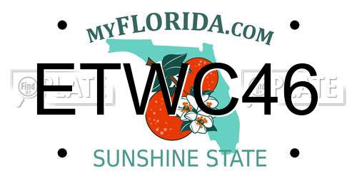 ETWC46 Florida License Plate