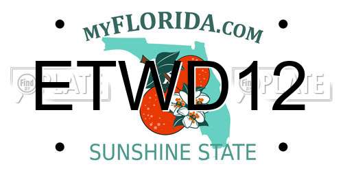ETWD12 Florida License Plate