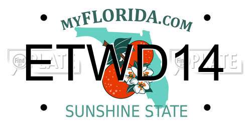ETWD14 Florida License Plate