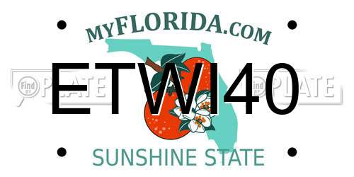ETWI40 Florida License Plate