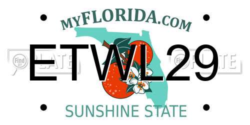 ETWL29 Florida License Plate
