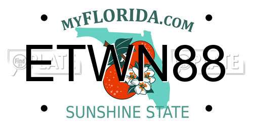 ETWN88 Florida License Plate
