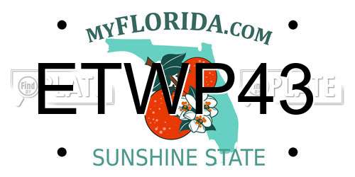 ETWP43 Florida License Plate