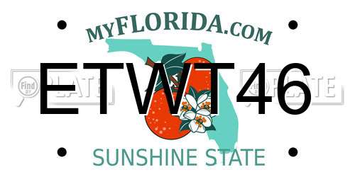 ETWT46 Florida License Plate