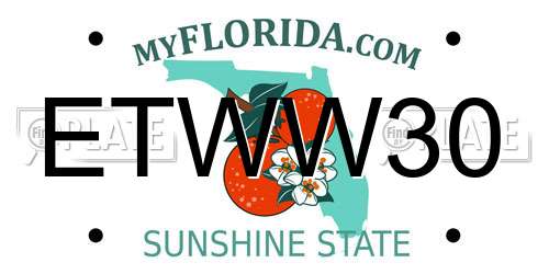 ETWW30 Florida License Plate