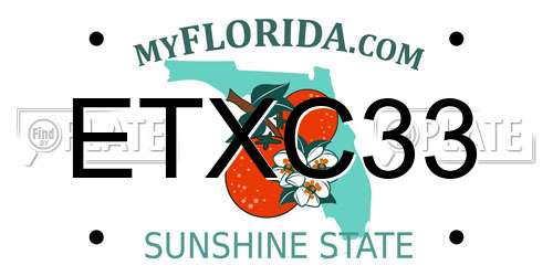 ETXC33 Florida License Plate