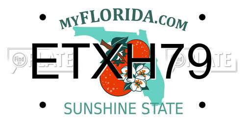ETXH79 Florida License Plate