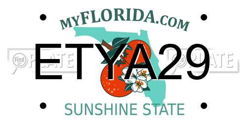 ETYA29 Florida License Plate