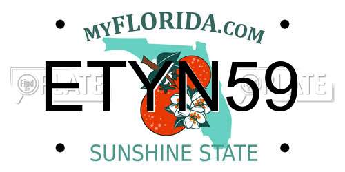 ETYN59 Florida License Plate