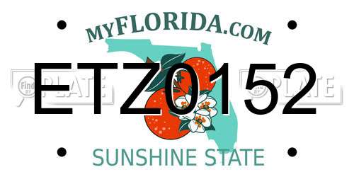 ETZ0152 Florida License Plate