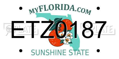 ETZ0187 Florida License Plate