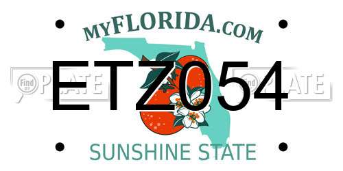 ETZ054 Florida License Plate