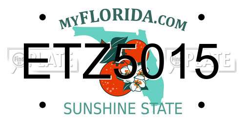 ETZ5015 Florida License Plate