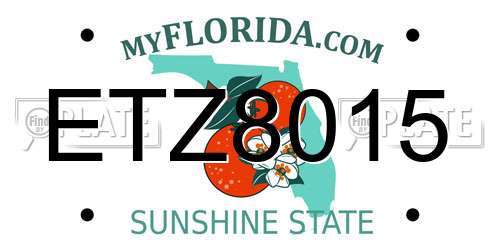 ETZ8015 Florida License Plate