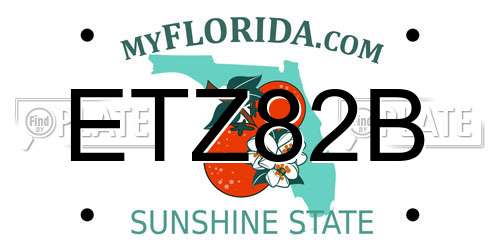 ETZ82B Florida License Plate