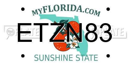 ETZN83 Florida License Plate