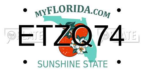 ETZQ74 Florida License Plate