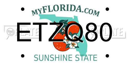 ETZQ80 Florida License Plate