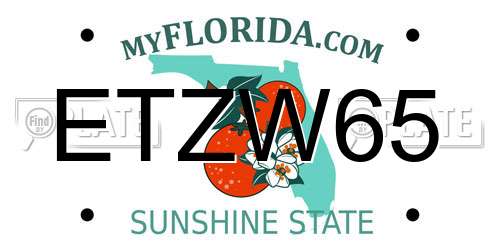 ETZW65 Florida License Plate