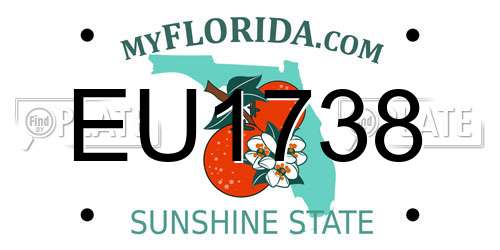 EU1738 Florida License Plate