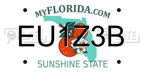 EU1Z3B Florida License Plate