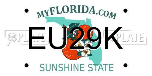 EU29K Florida License Plate