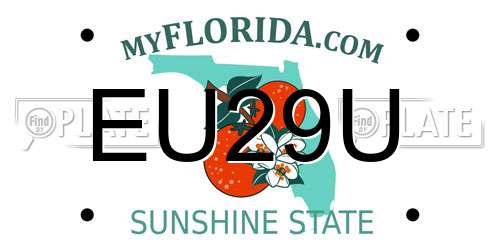 EU29U Florida License Plate