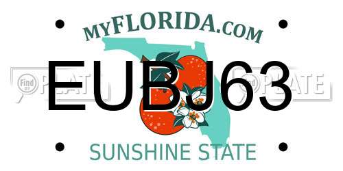 EUBJ63 Florida License Plate