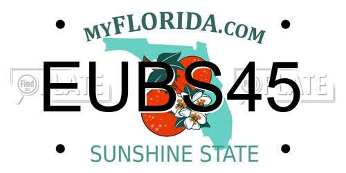 EUBS45 Florida License Plate