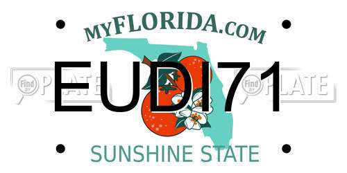 EUDI71 Florida License Plate
