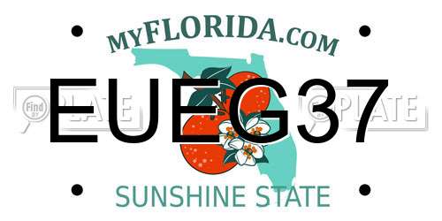 EUEG37 Florida License Plate